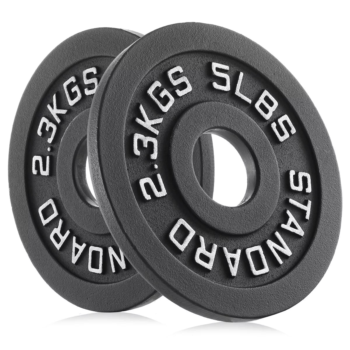 Philosophy Gym Set of 2 Cast Iron Olympic 2-Inch Weight Plates