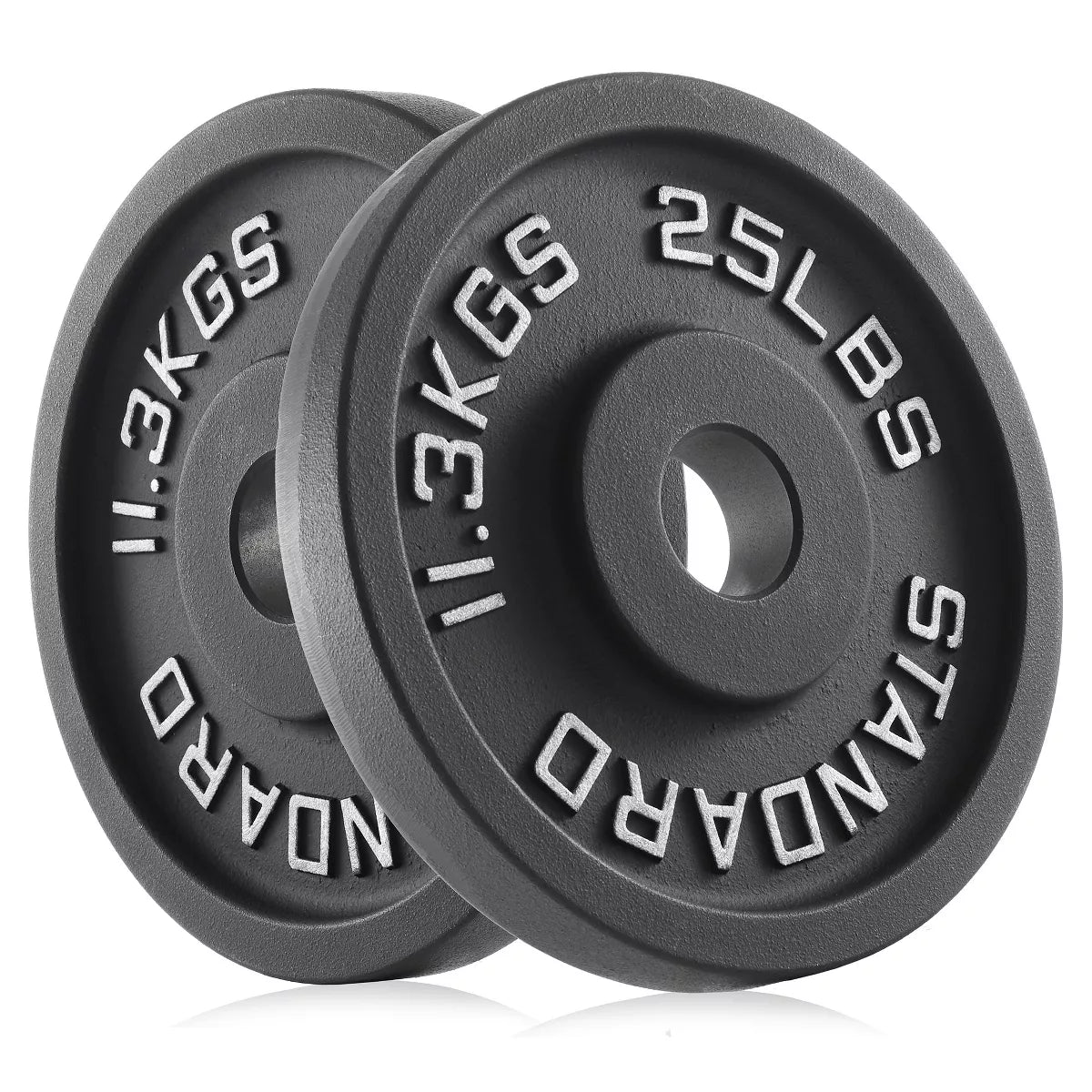 Philosophy Gym Set of 2 Cast Iron Olympic 2-Inch Weight Plates